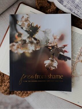 Free From Shame - Study Guide